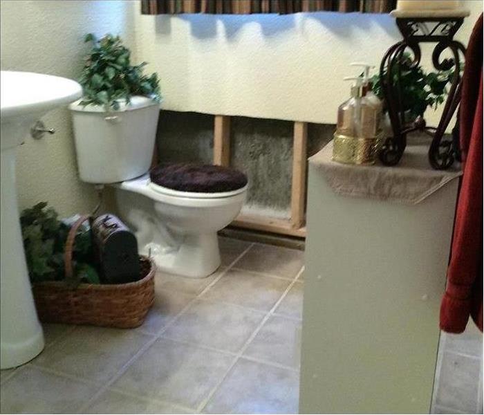 Home Toilet Backup Damage