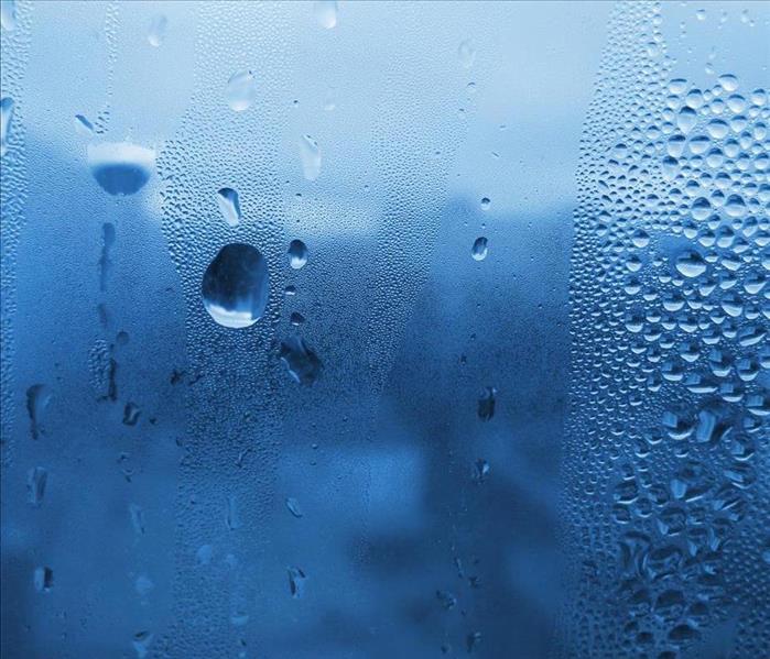 Window condensation.